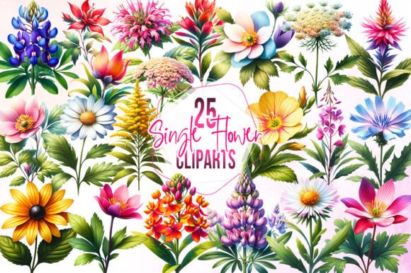 Download Watercolor Single Flower Clipart - Premium Bundle