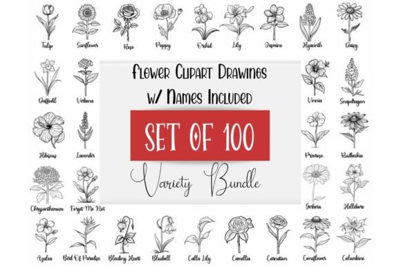 Download Single Flower Designs with Names Clipart - Premium Bundle
